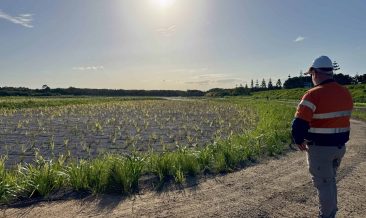 Bioretention basin model 2