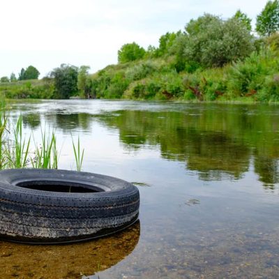 The,Tire,From,The,Car,Lies,On,The,Bank,Of